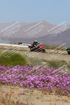 media/Feb-04-2023-SoCal Trackdays (Sat) [[8a776bf2c3]]/Turn 15 Inside Blooming (1050am)/